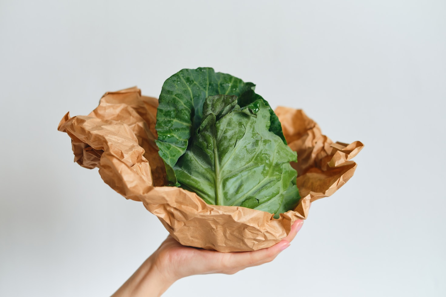 The Science Behind Probiotic Adaptogens in Cabbage Water